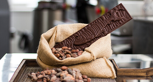 Bean to Bar equipment